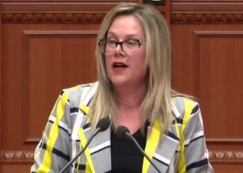 Qeveria po favorizon tregun klientelist –