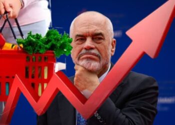 Shporta e shkurtit/ Rriten çmimet për prodhimet e freskëta, mollët dhe vezët kryesojnë listën –