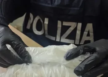 Mbi 150 kg drogë dhe 55 mijë euro nën shtrat, arrestohen 3 shqiptarë në Itali –