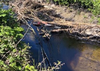 Katër punonjës të ‘Albpetrol’ ndotin Parkun Kombëtar të Vjosës, vihen nën hetim –