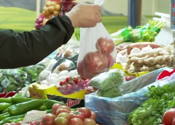 E importojnë domaten 50 lekë, e shesin 350-450 lekë –