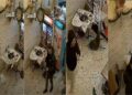 Atentati ndaj “Guçit”/ Si u lokalizua dhe arrestua Fabjan Brahja, në kërkim Bledar Çuni –