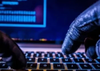 6 vite burg për të akuzuarin për vjedhjen e të dhënave online –