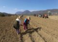 Shqiptarët shënojnë edhe një rekord tjetër në Europë, si më të lodhurit në vendin e punës –