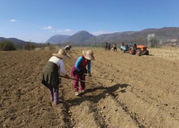 Shqiptarët shënojnë edhe një rekord tjetër në Europë, si më të lodhurit në vendin e punës –