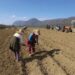 Shqiptarët shënojnë edhe një rekord tjetër në Europë, si më të lodhurit në vendin e punës –