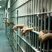 Kushtet cenojnë dinjitetin njerëzor, Avokati i Popullit kërkon mbylljen e 5 burgjeve –