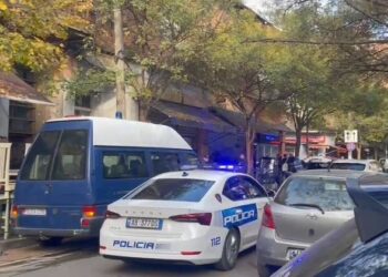 Detajet/ “Mendova se nuk kishte fishek në fole”, si e qëlloi i riu shokun në kokë me pistoletë –
