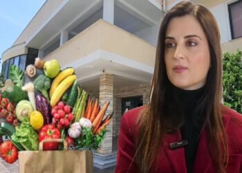 Korrupsioni ha ushqimin e konviktorëve/ Emiriana Sako i dhuron familjes Sinani nga Karbunara kontratën 1 miliard lekë –