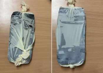 Kontrolle të befasishme në burgje, zbulohen disa celularë në Fushë-Krujë dhe Peqin –