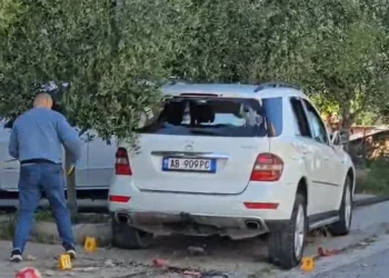 Nikoll Radaçi problematik, i ishte hequr patenta dy herë –