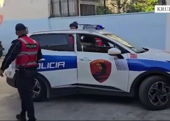 Sulm me thika në oborrin e një mobilerie në Nikël, plagosen 2 vëllezërit, në kërkim autorët –