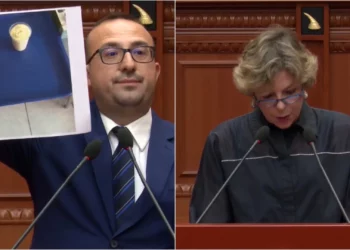 Vdiq një 38-vjeçar për një eko në Lushnje, ju keni ardhur vetëm për të vjedhur –