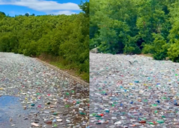 Alarm mjedisor në Kukës, liqeni mbulohet nga mbeturinat plastike –