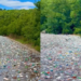 Alarm mjedisor në Kukës, liqeni mbulohet nga mbeturinat plastike –