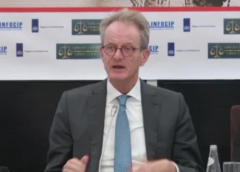 Duhen institucione të forta, jo vetëm përkthime ligjesh –