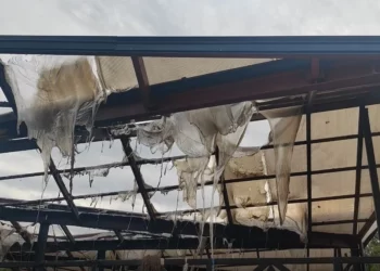 Flakët djegin tregun e fruta-perimeve në Lushnje, raportohet për dëme të mëdha materiale –