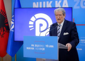 PD do të ripërtërihet në çdo nivel, një nga nënkryetarët do të jetë grua –