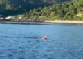 Pas rekordit Itali-Karaburun, Eva Buzo rikthehet në Vlorë dhe përshkon me not ishullin e Sazanit –