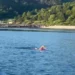 Pas rekordit Itali-Karaburun, Eva Buzo rikthehet në Vlorë dhe përshkon me not ishullin e Sazanit –