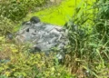 Makina përfundon në kanal në aksin Lushnje-Fier, banorët shpëtojnë babë e bir –