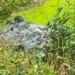 Makina përfundon në kanal në aksin Lushnje-Fier, banorët shpëtojnë babë e bir –