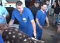 Vrau policin, plagosi një tjetër, Violand Braçellarit i komunikohet “arresti me burg” nga spitali i Traumës –