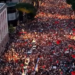 “Shqipëri e re”! Sot protesta e 11-të, mijëra qytetarë në shesh kërkojnë dorëheqjen e Ramës: Ju erdhi fundi –