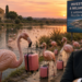 Kënga e një shpendi është më shumë se tingull! –