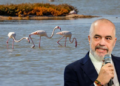 Flamingot i solla unë… –